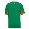 Original Fußballtrikot Irland Heimtrikot 2025-26 Für Herren